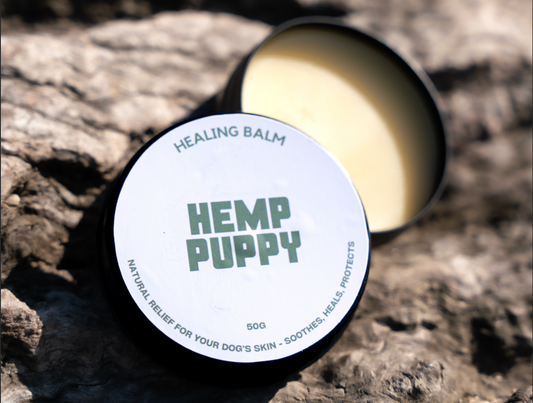 Does My Dog Need a Paw Balm? When and Why You Should Use One