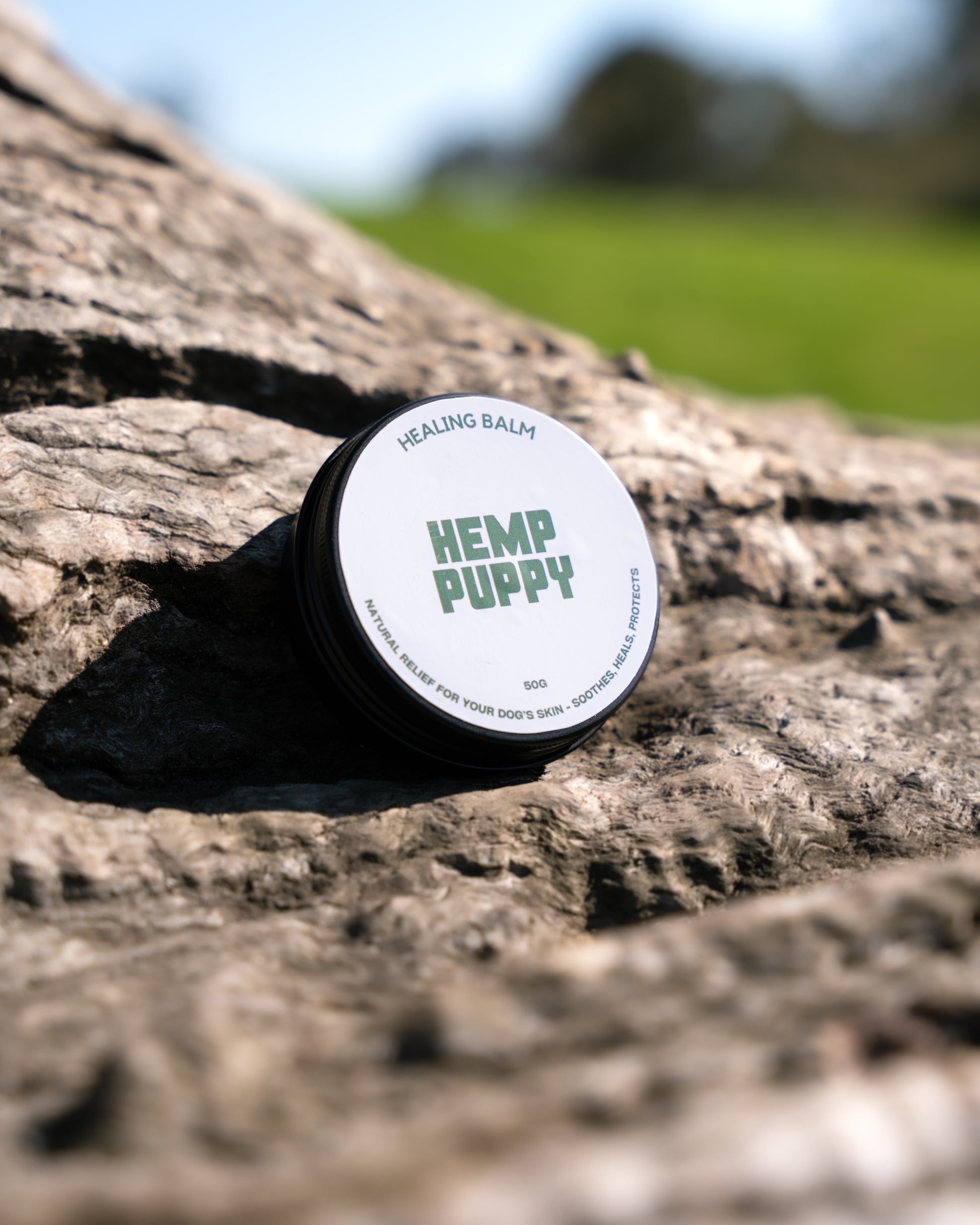 Hemp-infused healing balm by Hemp Puppy for dogs, providing relief for skin irritation, eczema, and cracked paws. All-natural, cruelty-free solution for dog skin healing and protection.