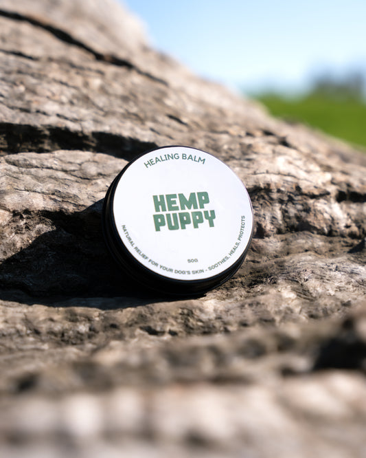 Natural hemp healing balm by Hemp Puppy for dogs, soothing dry skin, itching, and hot spots. Gentle, organic formula for dog skin care, promoting healing and moisture balance.