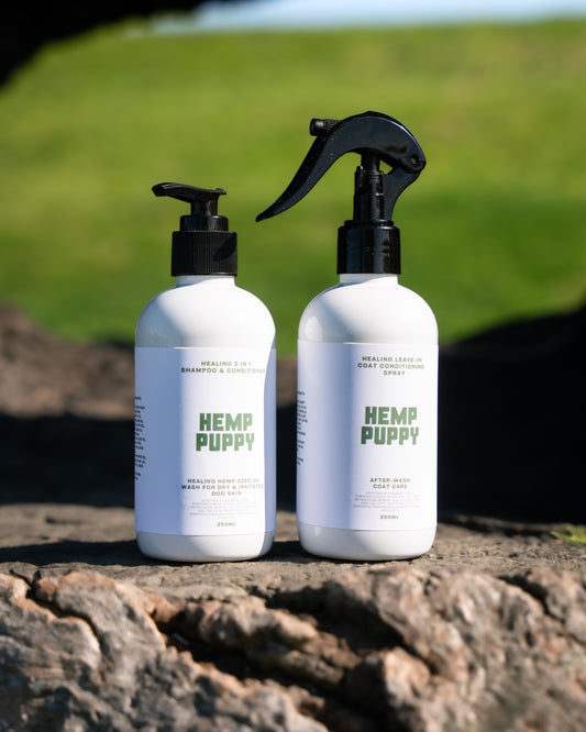 Hemp Puppy 2-in-1 Shampoo & Conditioner & Leave-In Conditioning Spray Bundle + BONUS 10g Balm – Naturally Protect Skin