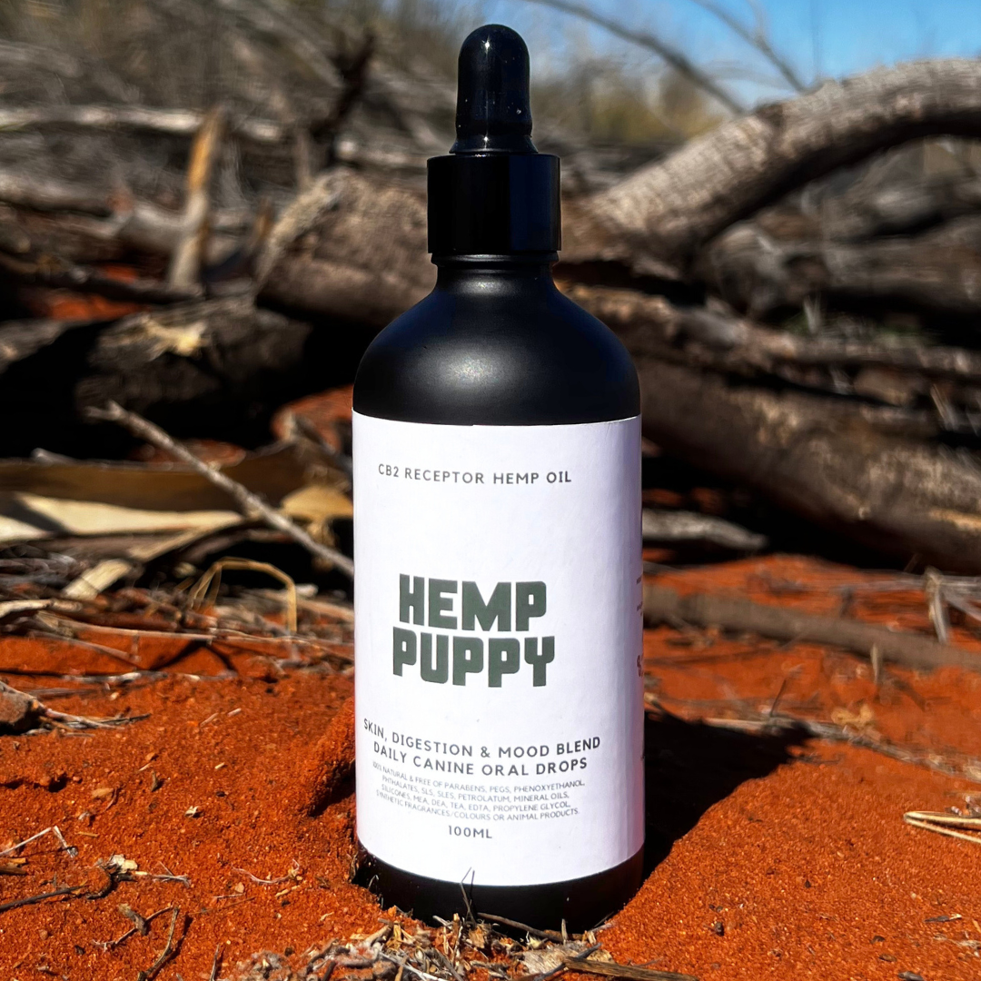 CB2 Daily Hemp Drops | 100ml | Skin, Digestion & Mood Blend | by Hemp Puppy