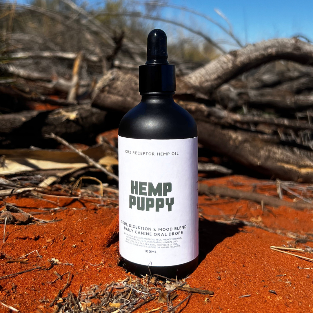 CB2 Daily Hemp Drops | 100ml | Skin, Digestion & Mood Blend | by Hemp Puppy